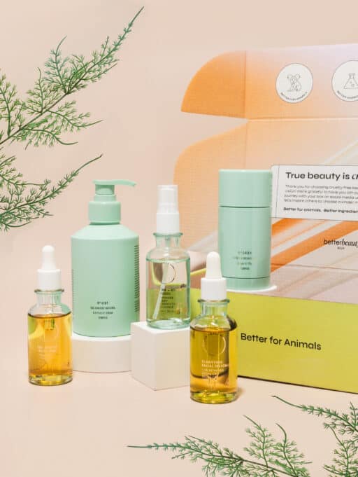 What Is Better Beauty Box? How It Works and Everything Else You Need To Know